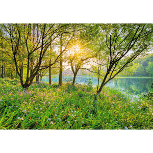 Фотообои бумажные Komar Spring Lake (Весеннее озеро NG) 368х254 см (8-524) лучшая модель в Кривом Роге