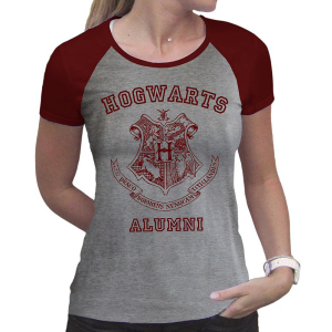 Футболка ABYstyle Harry Potter XL Серая (ABYTEX503XL) ТОП в Кривом Роге