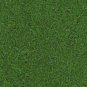 хороша модель Лінолеум IVC Vision Grass T25