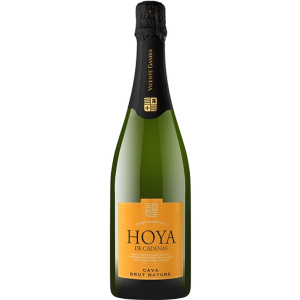 Вино игристое Hoya de Cadenas Cava Brut Nature белое брют 0.75 л 11.5% (8410310605994) лучшая модель в Кривом Роге