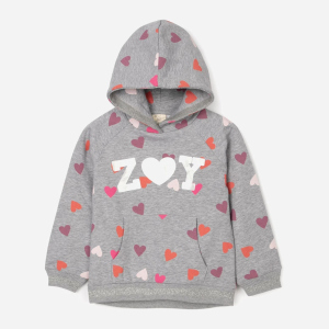 купити Худі утеплене Zippy Hooded Fl 3103304701 110 см Grey9 (5602156862447)