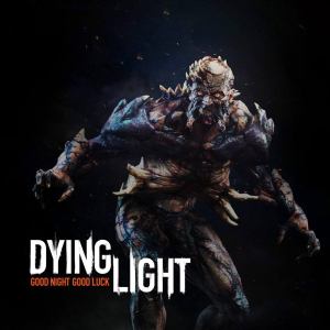 Ключ активации Steam | Dying Light: Hellraid надежный