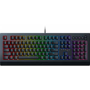 Клавіатура провідна Razer Cynosa V2 USB RU (RZ03-03400700-R3R1) ТОП в Кривому Розі