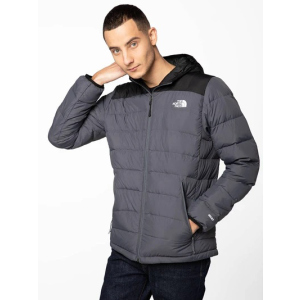 Куртка The North Face NF00CYG91741 L Серая с черным (192361775670_4797796)