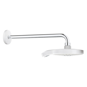 Лейка для верхнего душа с держателем Grohe Power&Soul Cosmopolitan 190 26172LS0 в Кривом Роге