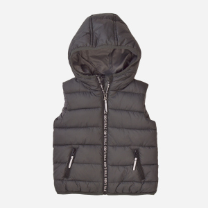 Жилет Minoti 7BGILET 9 34601JNR 110-116 см Темно-серый (5059030593988) в Кривом Роге