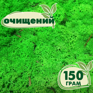 Очищений стабілізований мох ягель Nordic moss Зелений трав'яний світлий 150 грам ТОП в Кривому Розі