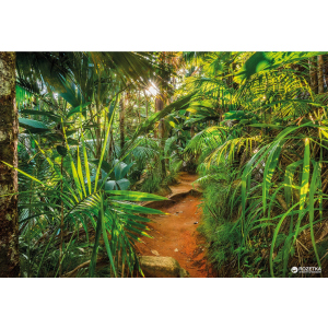Фотообои бумажные Komar Jungle Trail 368х254 см 8 сегментов (8-989) в Кривом Роге