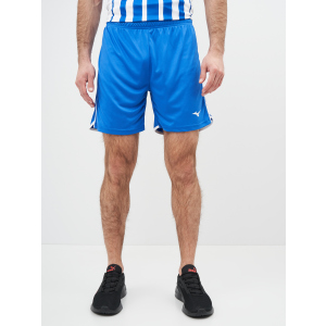 Спортивні шорти Mizuno High-Kyu Short V2EB700122 S (5054698344927)