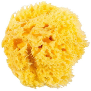 Натуральна морська губка Ok Baby Honeycomb Sea Sponge розмір 12 (38471200) в Кривому Розі