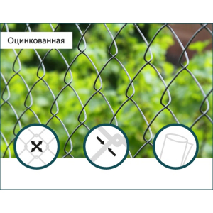 Сетка Рабица оцинкованная Сітка Захід 60х60/3,0мм 1,5м/10м в Кривом Роге